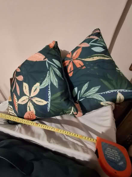 Photo of free Outdoor Cushions. (Penrith CA11) #2