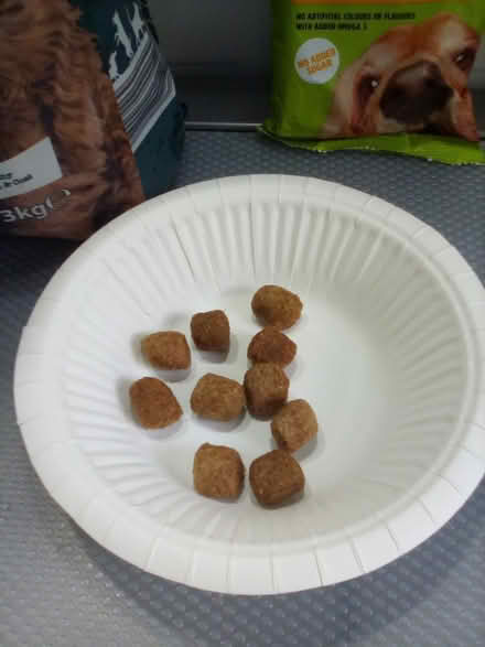 Photo of free Dog food and treats (Shipley BD18) #3