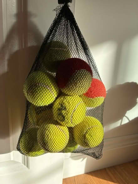Photo of free Mixed old tennis balls (Purley CR8) #1