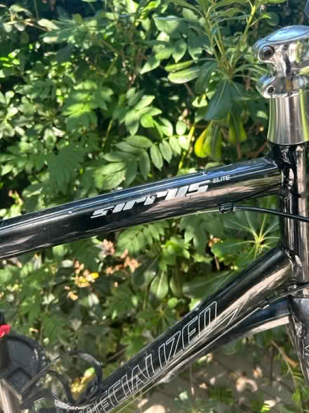 Photo of free Specialized Bike Frame Large (W4 Chiswick) #4