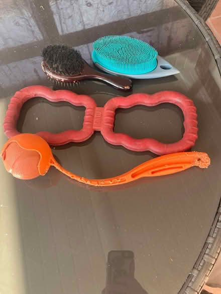 Photo of free Pet items (Off Lower Buckland lymington) #1