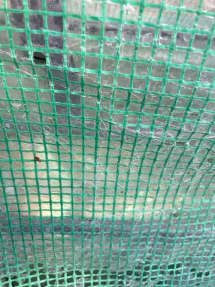 Photo of free Plastic Greenhouse (Letchworth SG6) #2