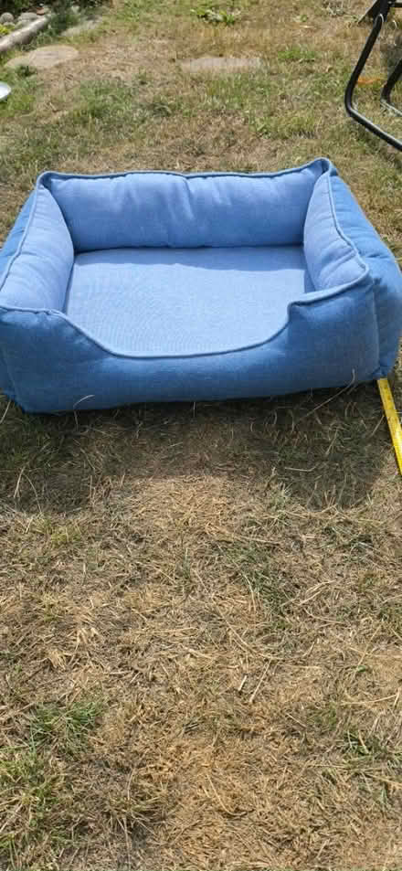 Photo of free Dog Bed (Malvern WR14) #3