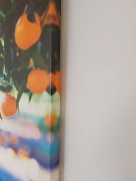 Photo of free Wall Art (K2A 0G7) #2