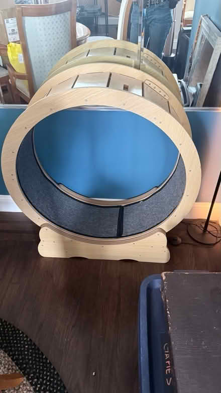 Photo of free Cat Wheel (North Bergen, NJ) #1