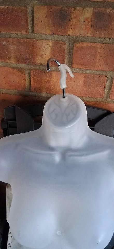Photo of free Display Mannequin (Godinton Park TN23) #2