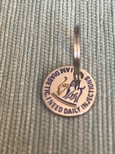 Photo of free Collar tag for diabetic cat or dog (Bletchley MK2) #1