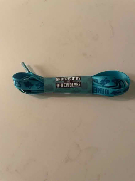 Photo of free 🆕 shoelaces (Bayview/highway 7) #1