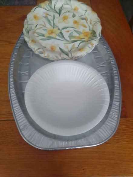 Photo of free Paper [plates (Littleworth OX33) #1