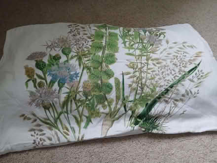 Photo of free Superking duvet cover and 2 pillowcases. (Bear Flat BA2) #1