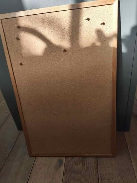 Photo of free Pin board (Fleetville AL1) #1