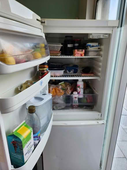 Photo of free Double Oven and Fridge Freezer (Cavan) #2