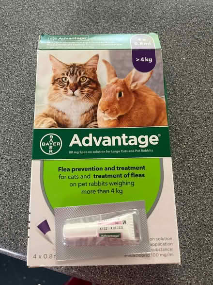 Photo of free Advantage cat / rabbit flea treatment (Grahame Park NW9) #1