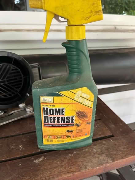 Photo of free home defense insect killer (Lawrence/ El Camino Real) #1