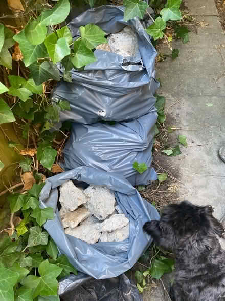 Photo of free hardcore (Forest Row RH18) #1