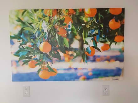 Photo of free Wall Art (K2A 0G7) #1