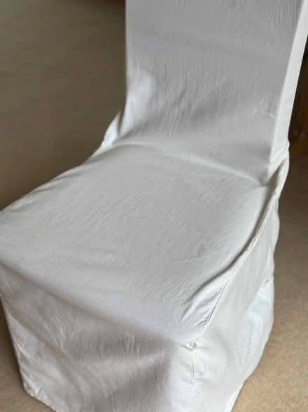 Photo of free Cream cotton dining chair cover (Bexleyheath DA6) #1
