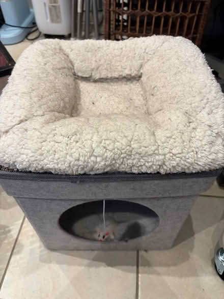 Photo of free Grey and cream cat bed with mouse (Poplars SG2) #1