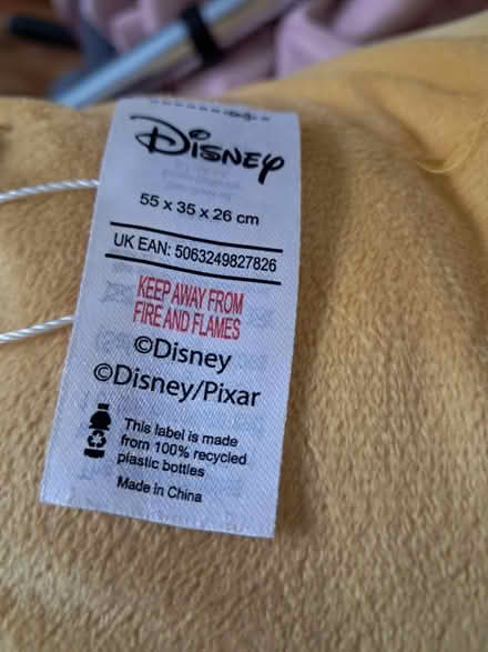 Photo of free Lion king bed cushion (Huyton) #2