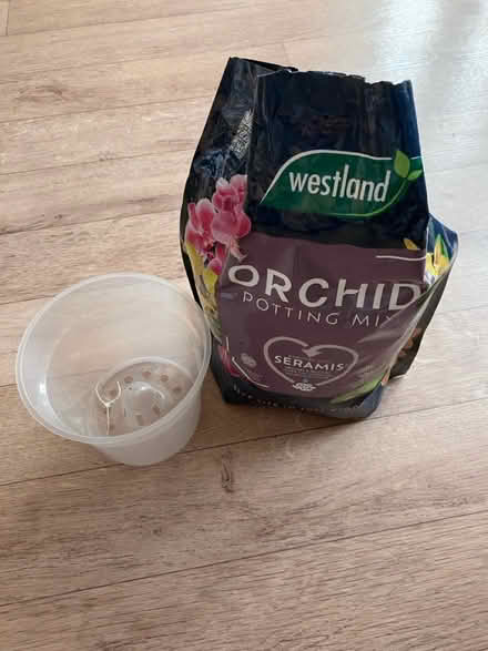 Photo of free Orchid plant pot & potting mix (Tetbury) #1