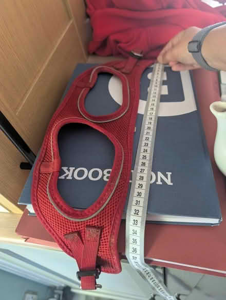 Photo of free ​Red Mesh Dog Harnesses x2 (Bracknell RG12) #2