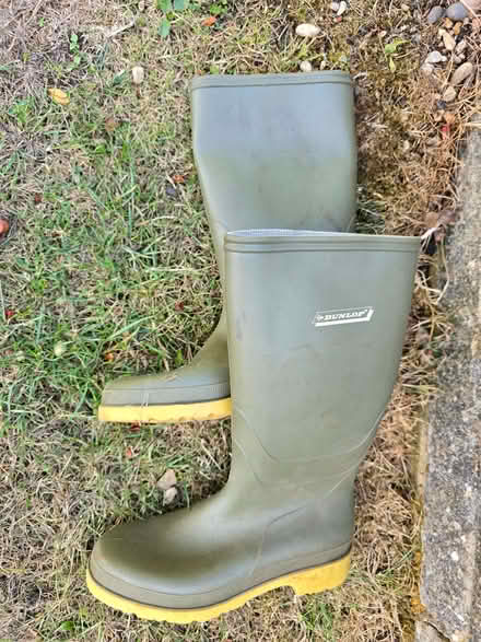 Photo of free Dunlop Wellington boots size 6 (Little Amwell SG13) #1