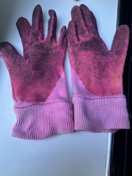 Photo of free Kids gardening gloves (Walton Manor OX2) #1