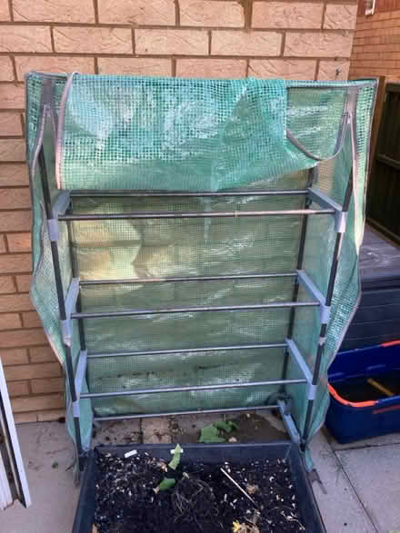 Photo of free Plastic Greenhouse (Letchworth SG6) #4