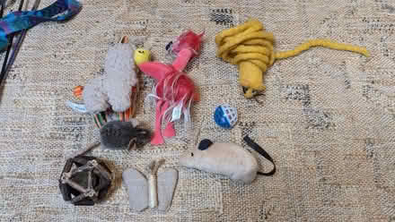 Photo of free Cat Toys (Priestthorpe BD16) #2