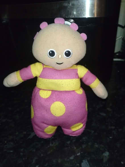 Photo of free Upsie Daisy night garden (Clubmoor L4) #1