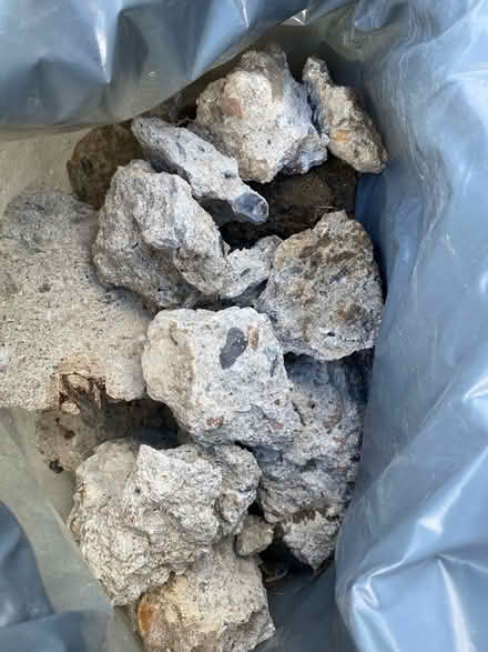 Photo of free hardcore (Forest Row RH18) #3