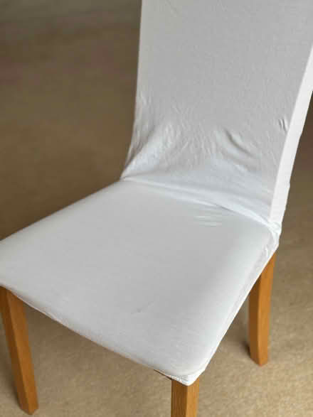 Photo of free White dining chair cover (Bexleyheath DA6) #1