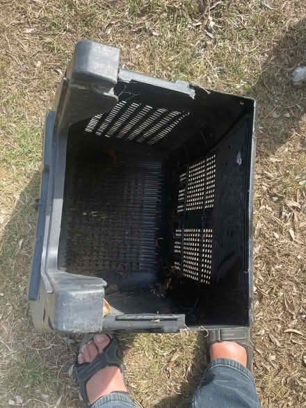 Photo of free Briggs and Stratton Lawnmower Collecting Box (Ramsgate CT10) #2