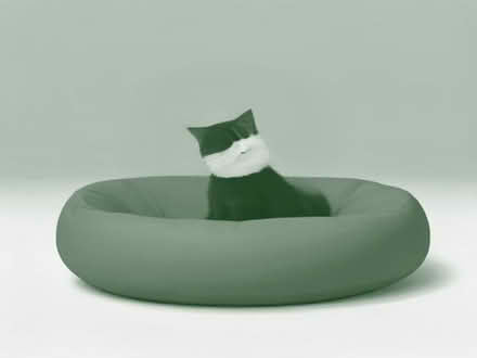 Photo of Cat bed (Fordham CO6) #1