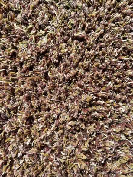 Photo of free Large rug autumnal colours (Morden SM4) #2