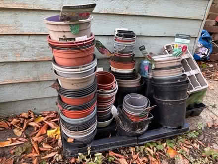 Photo of free Flowerpots (St Albans AL3) #1
