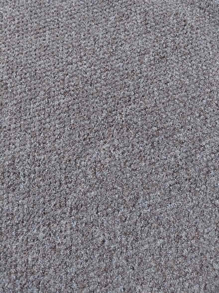 Photo of free 2 carpet offcuts (Hyde SK14) #4