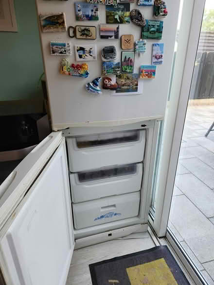Photo of free Double Oven and Fridge Freezer (Cavan) #3