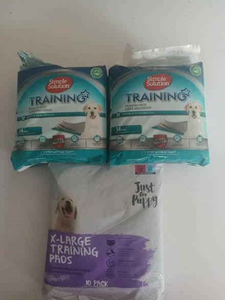 Photo of free Dogs training pads in Richmond TW10 (Richmond upon Thames TW10) #1