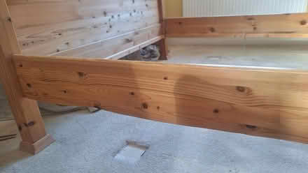 Photo of free Solid pine double bed. (Braintree CM7) #3