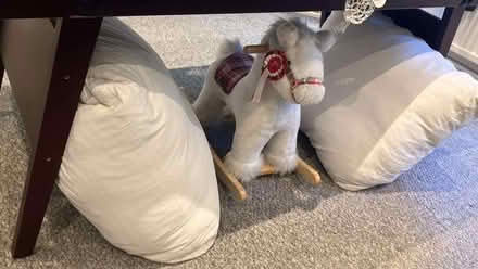 Photo of free Two Large Floor Cushions to Give Away (Shepherds Bush W6) #1