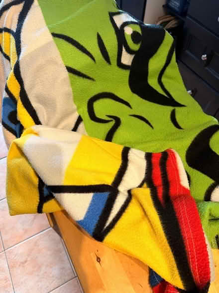 Photo of free kids Fleece Blanket (CF62 Rhoose VoG) #1