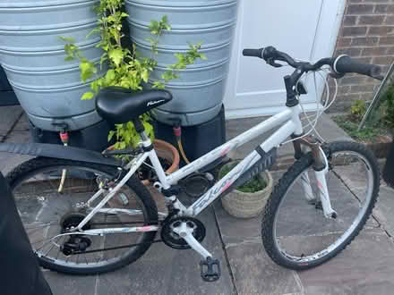 Photo of free Female bike (Blackwell RH19) #1