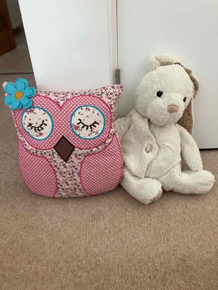 Photo of free Owl cushion and Bunny Pyjama holder (Minchinhampton GL6) #1