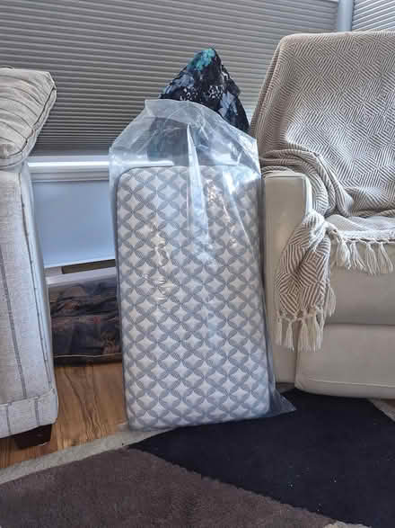 Photo of free Cooling Pillow (Near Chemainus Ferry) #2