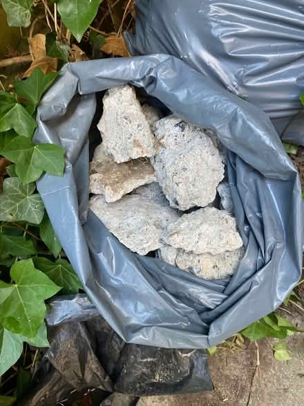 Photo of free hardcore (Forest Row RH18) #2