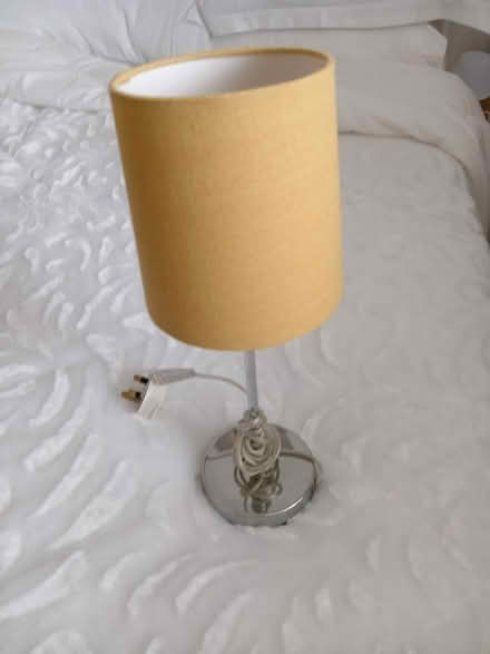 Photo of free Lamp (Maidstone ME17) #1