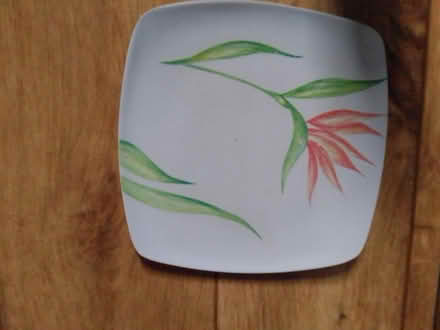 Photo of free Plastic red flowers plate (Killamarsh S21) #1