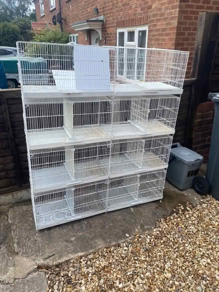 Photo of free Bird breeding cages (Sharpness GL13) #1