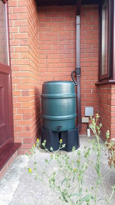 Photo of free Water butt with downpipe & diverter (Barry CF62) #1